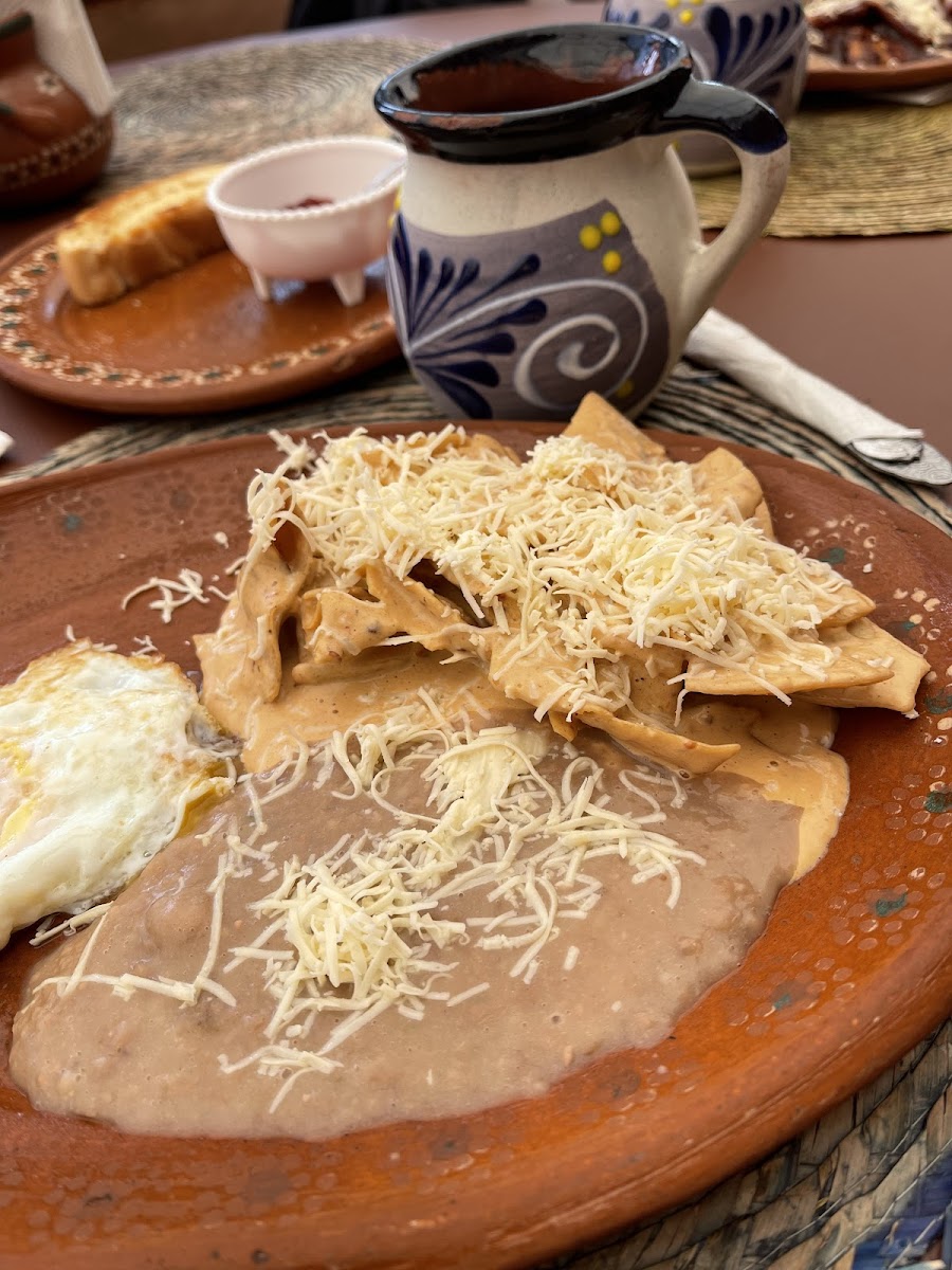 Restaurant El Jardín De Los Canarios Mezquital-6